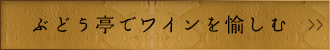 ぶどう亭でワインを愉しむ